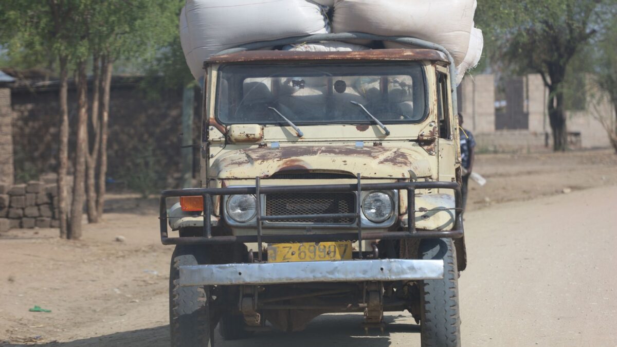 Tanzania in August 2026: what travelers should know now