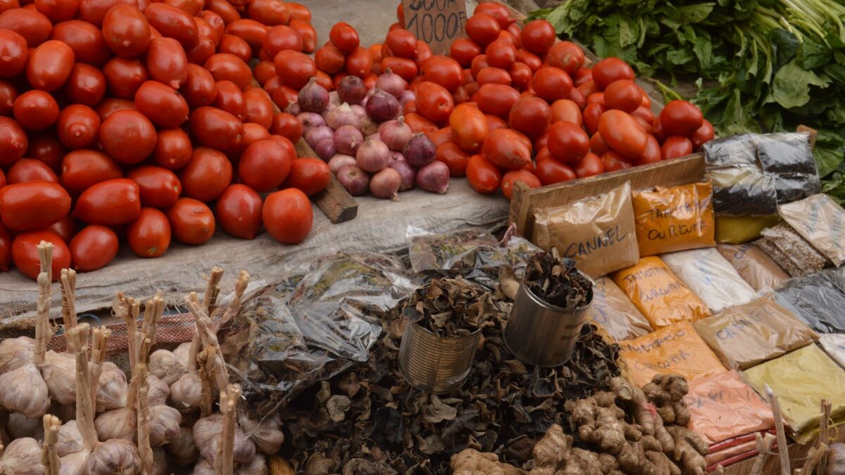 A first-timer’s guide to Uganda
