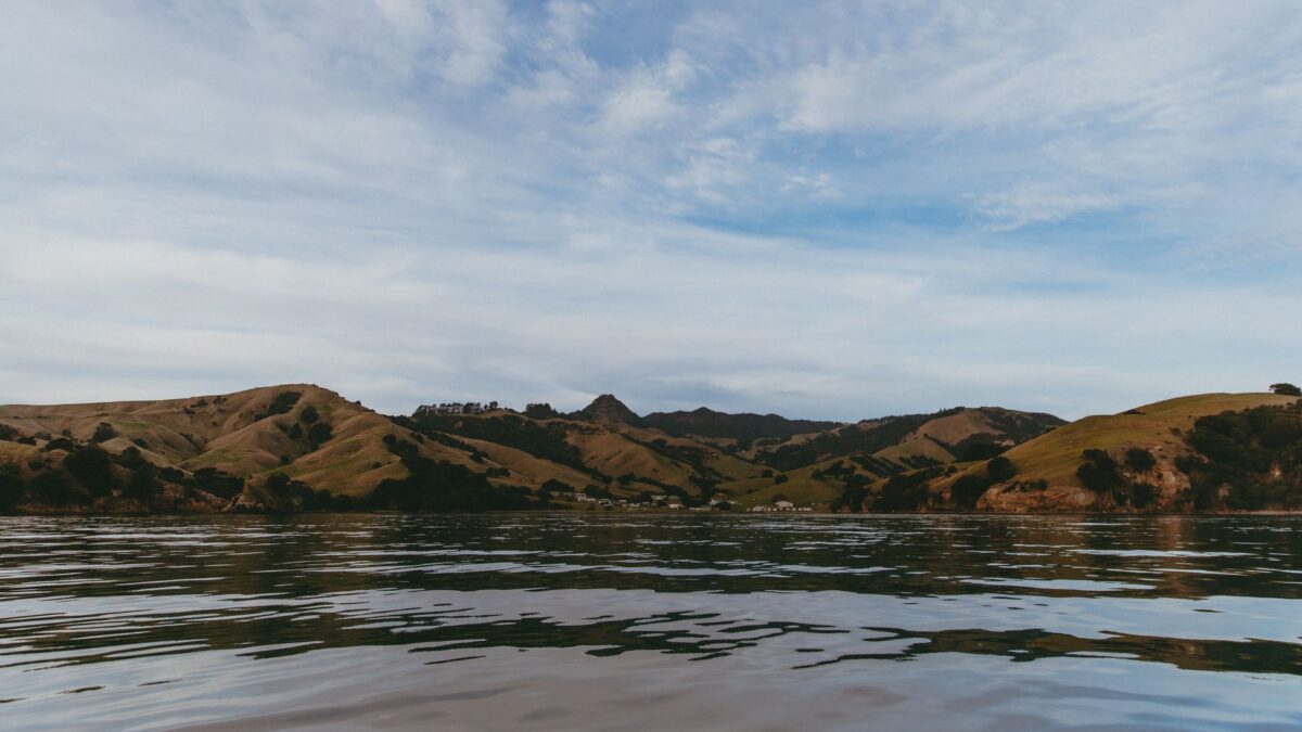 What to eat in New Zealand — and what it costs