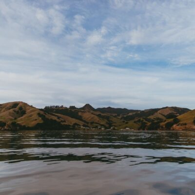 What to eat in New Zealand — and what it costs