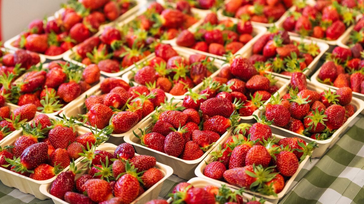 What to eat in Canada — and what it costs