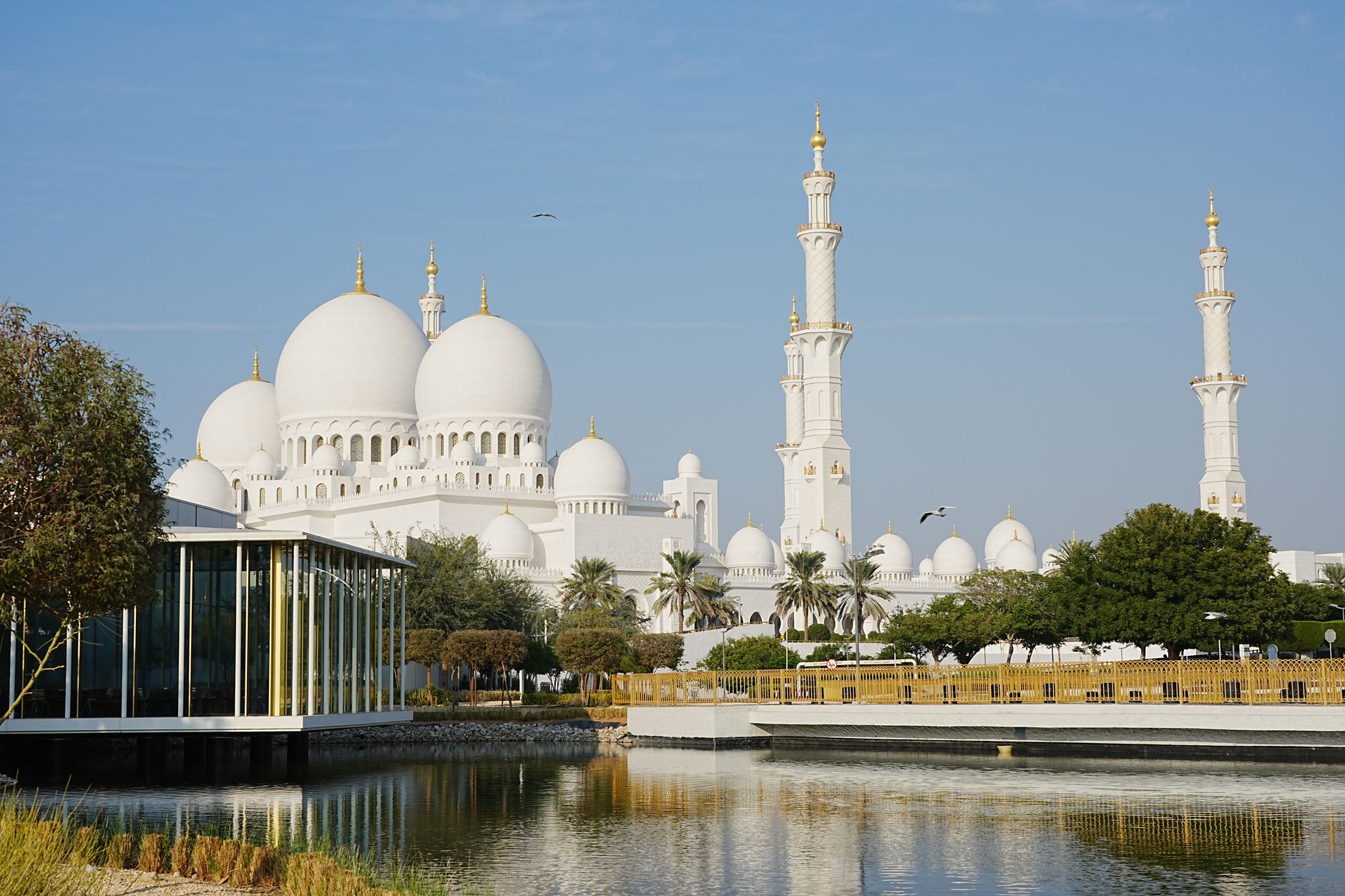 Day 3: Grand Mosque and a Fish Market Feast — United Arab Emirates