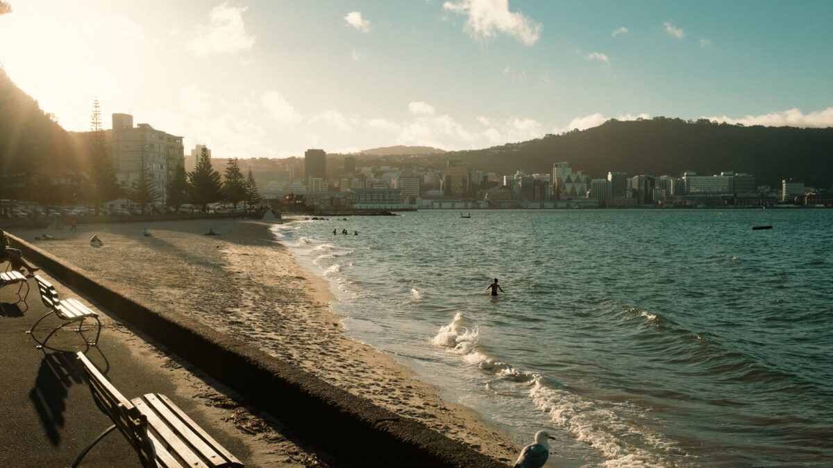 New Zealand in August 2026: what travelers should know now
