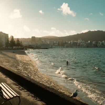 New Zealand in August 2026: what travelers should know now