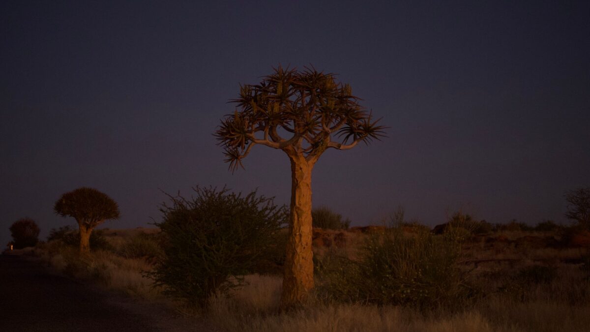 Namibia in August 2026: what travelers should know now