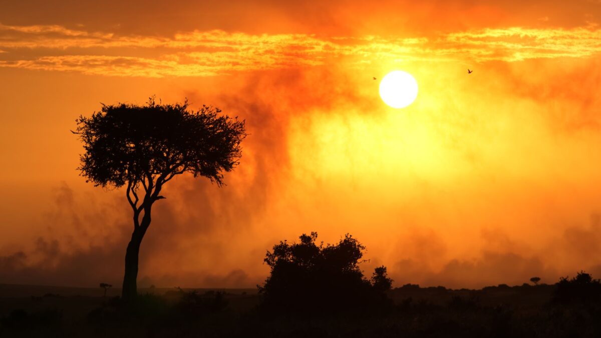 The best time to visit Kenya