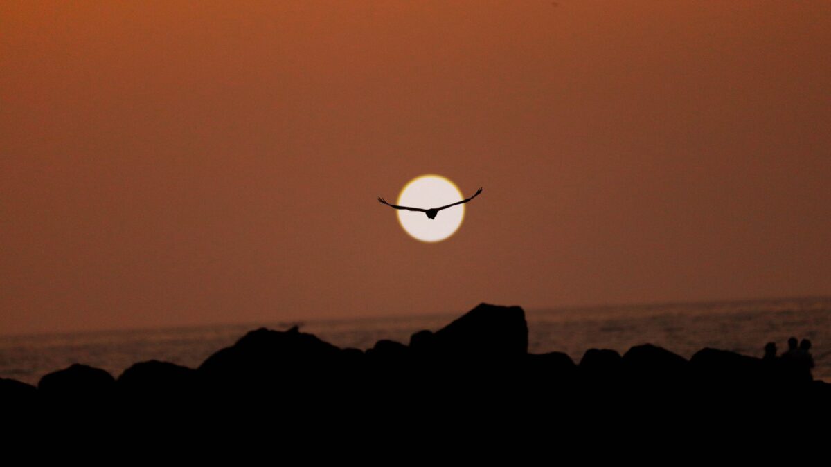 A week in Muscat on a mid-range budget