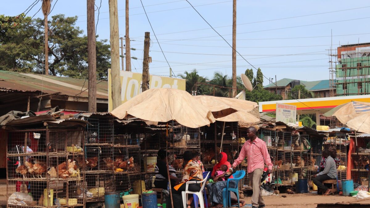 Vibrant outdoor market with chicken stalls, vendors, and colorful atmosphere.