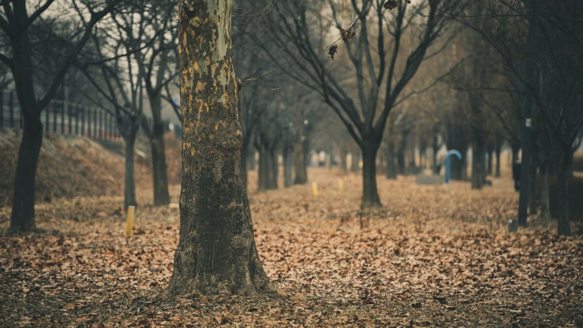 South Korea in September 2026: what travelers should know now