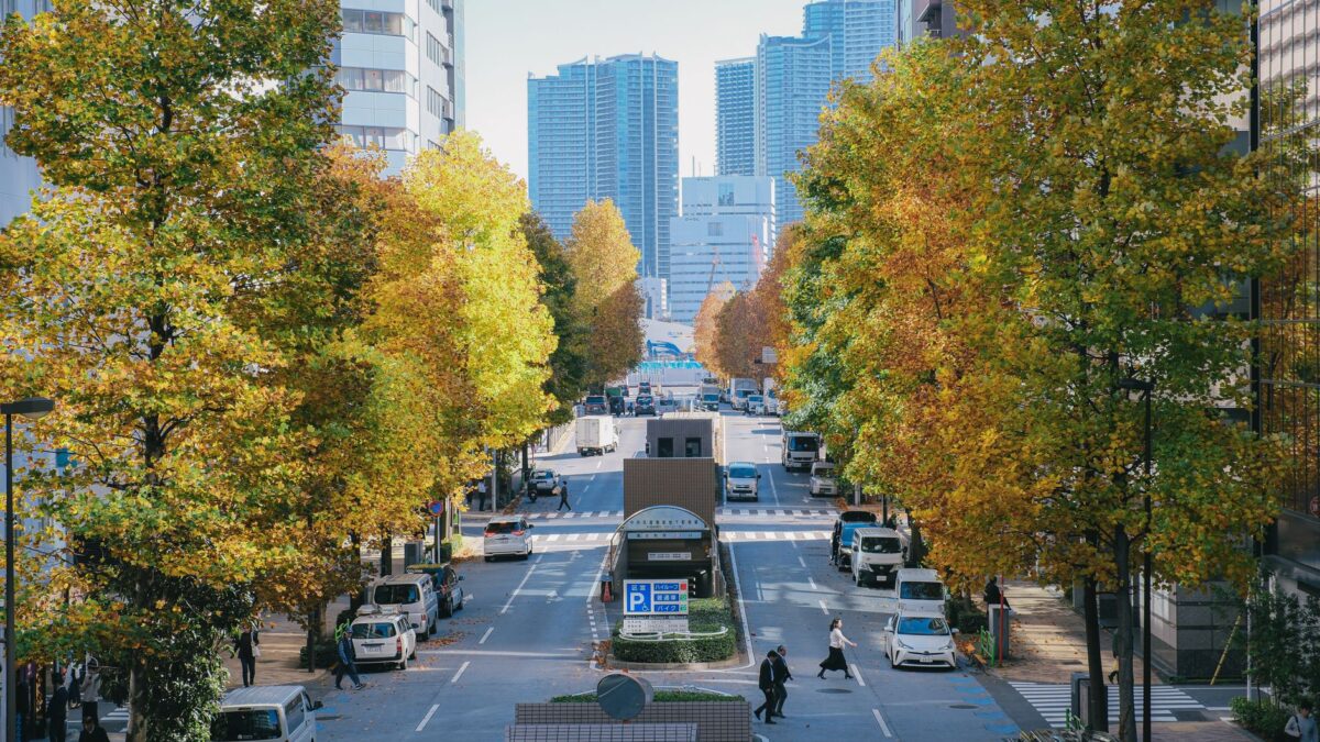 A first-timer’s guide to Japan