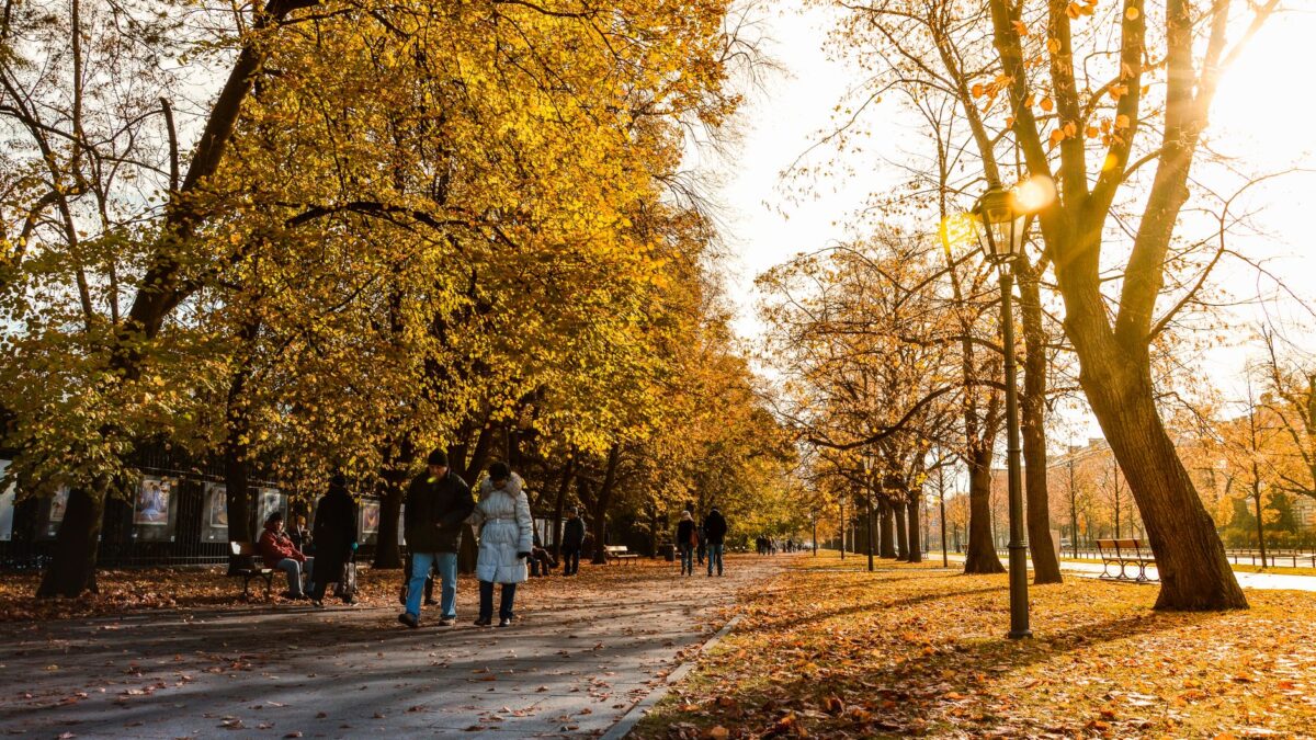People walking through a scenic Warsaw park in autumn sunshine.
