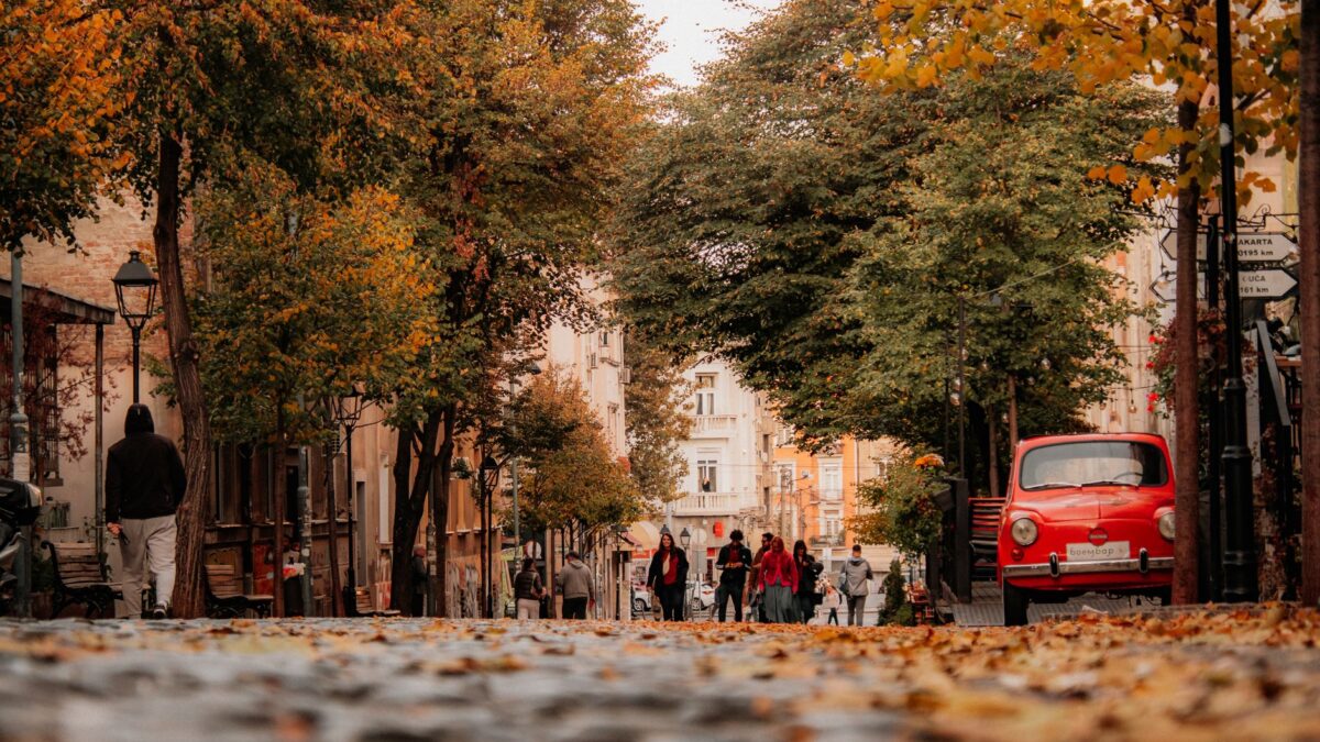 Moody autumn street with fallen leaves and people, capturing Belgrade's urban charm.