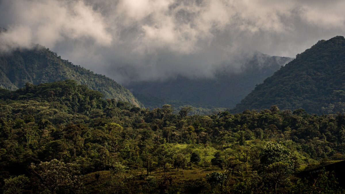 Scenic view of lush green mountains shrouded in clouds, Bajos del Toro, Costa Rica.