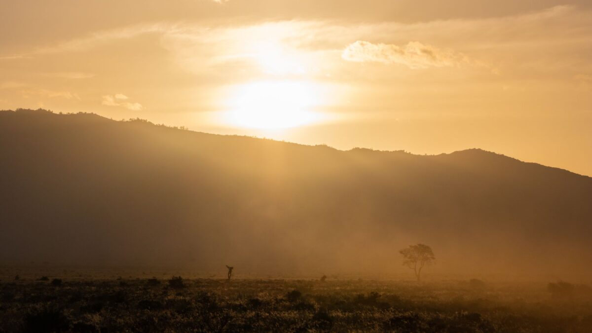 Dramatic sunset in Tsavo, Kenya showcasing silhouettes of trees and wildlife against dusty landscape.