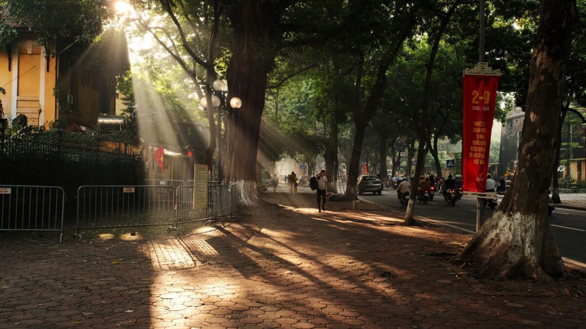 Sunlight filtering through trees on a street in Hanoi, Vietnam, creating serene shadows and highlighting urban life.