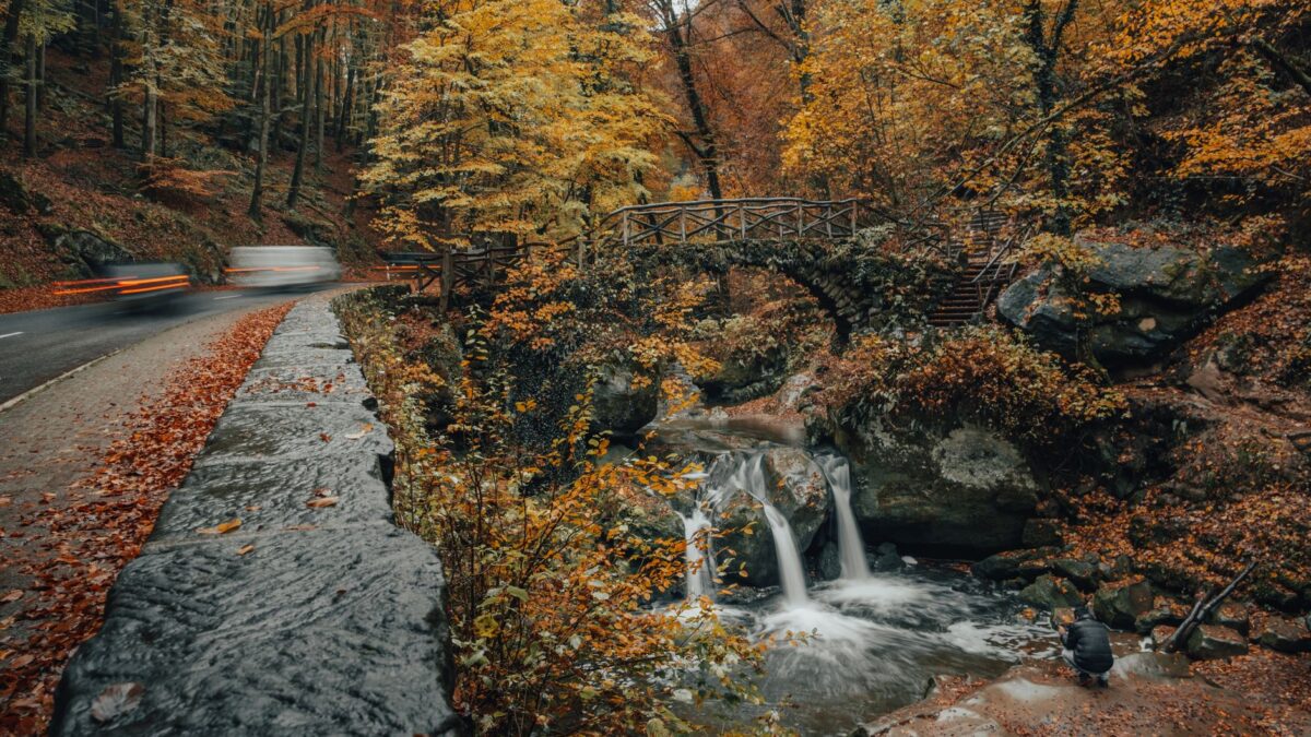 Discover the stunning autumn scenery of a waterfall in Echternach, Luxembourg's Mullerthal Trail.