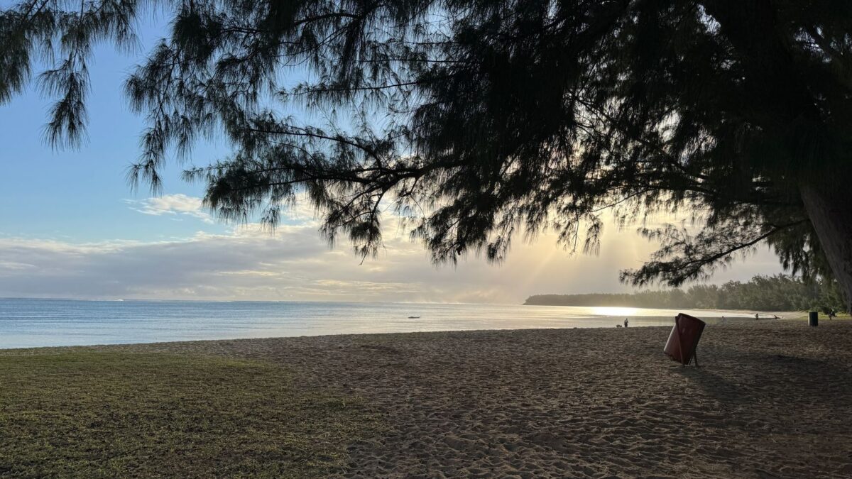 Serene sunset beach view with trees in Moka District, Mauritius, offering a peaceful retreat.