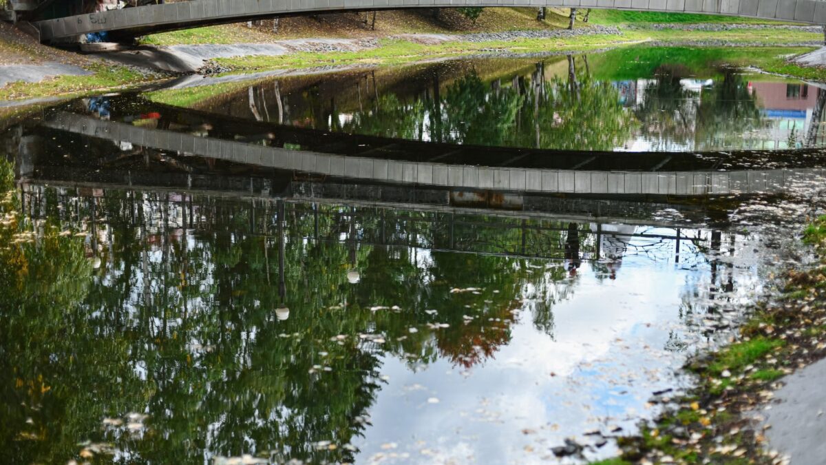 A peaceful reflection of a bridge and trees on a calm water surface creating a tranquil scene.