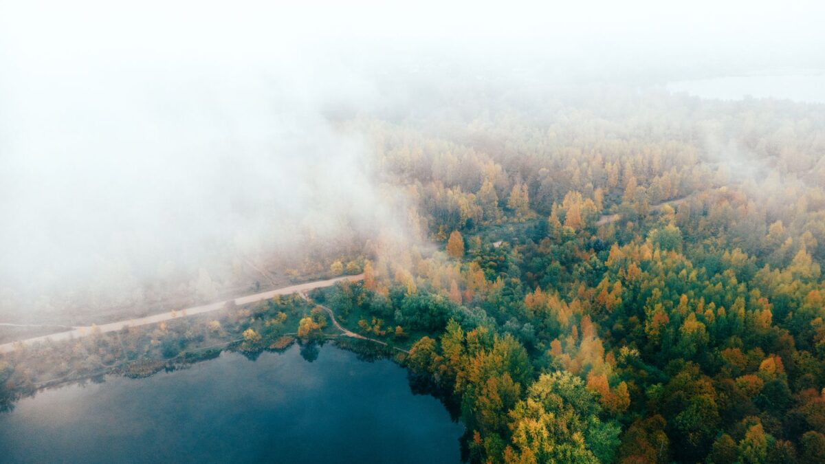 Breathtaking aerial photo of an autumnal forest near a lake in Minsk, Belarus.