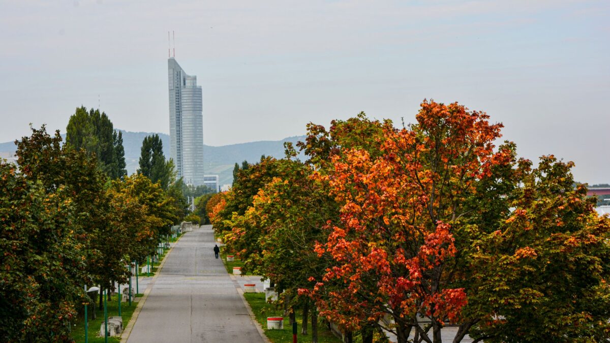 Scenic autumn view of a pathway with colorful trees leading to the DC Tower in Vienna, Austria.