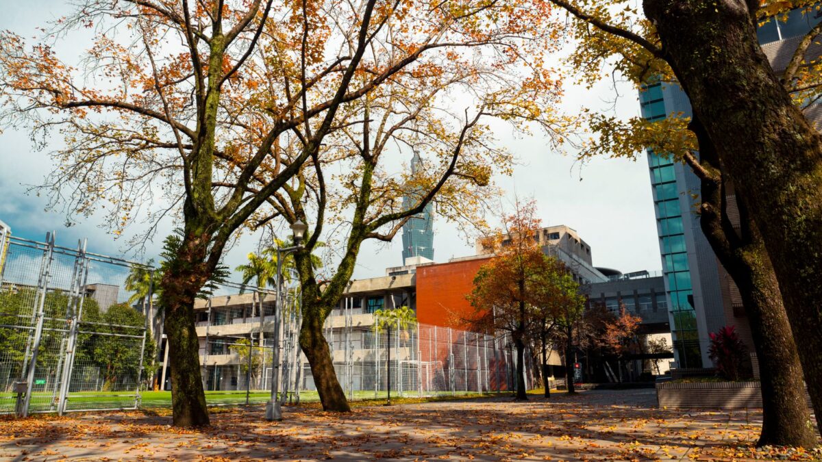 Autumn foliage in a cityscape near Taipei 101 in Taipei, Taiwan.