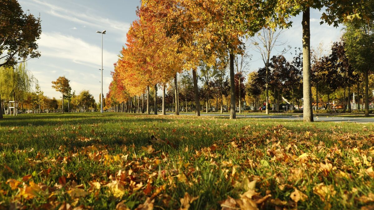 A week in Tirana on a mid-range budget