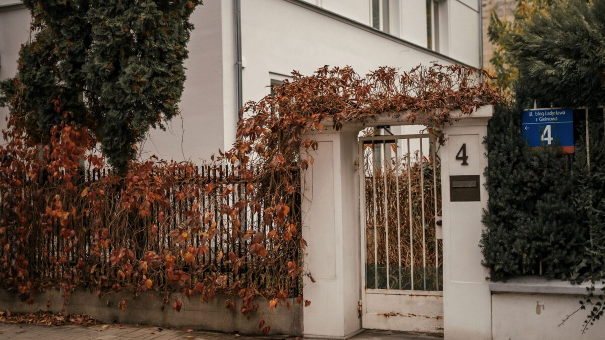 Elegant residential entrance adorned with autumn ivy, showcasing a picturesque urban street setting.
